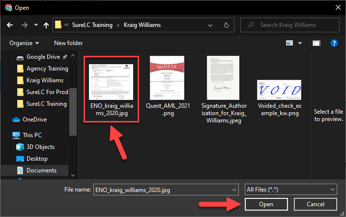 File_Selection.png